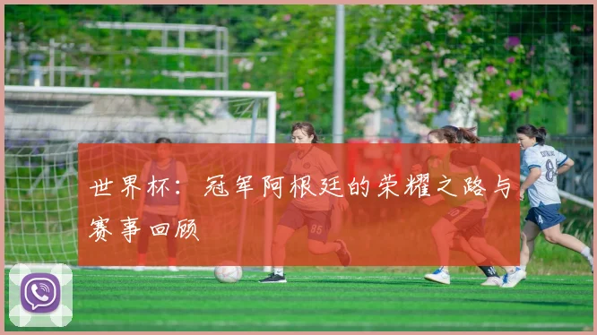 世界杯：冠军阿根廷的荣耀之路与赛事回顾
